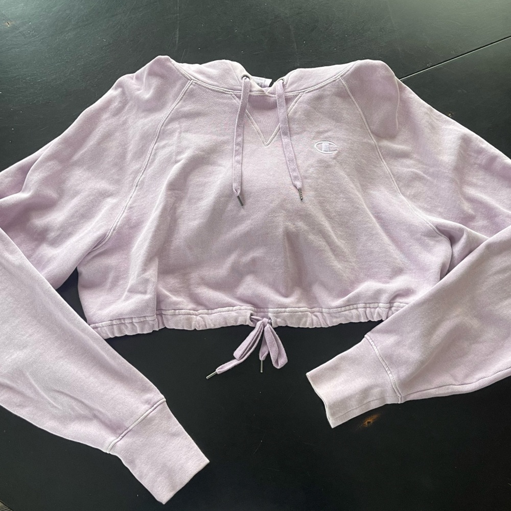 Pacsun Champion Vintage Cinched Hoodie